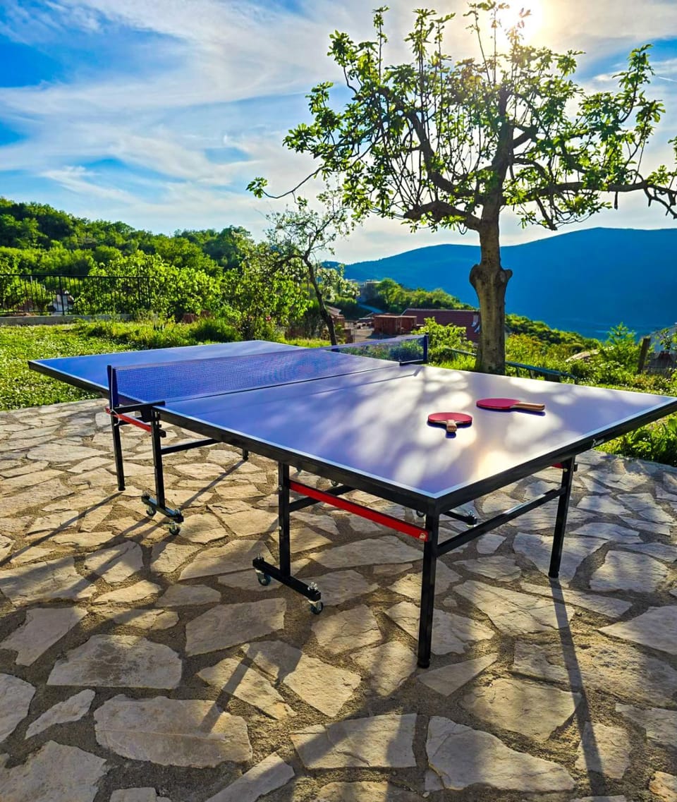 Table tennis
