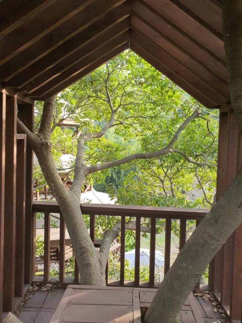 Moon-hyo House 1 Bed and Breakfast in South Korea