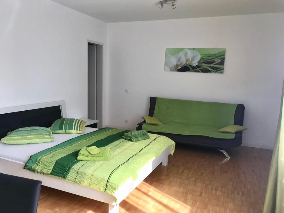 Apartment al Lido Ascona Apartment in Ascona
