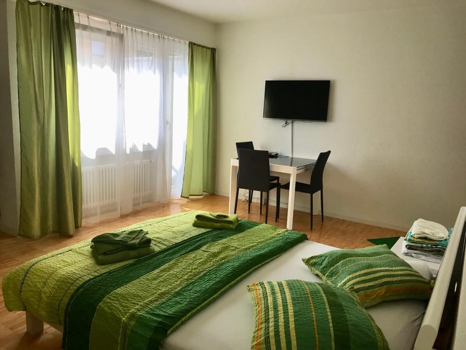 Apartment al Lido Ascona Apartment in Ascona