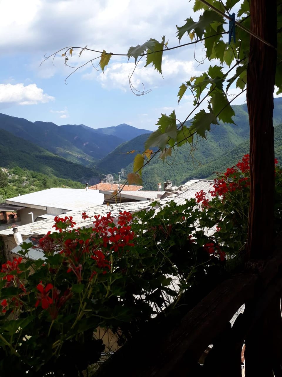 Mountain view
