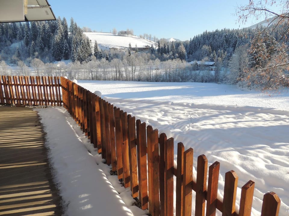 Day, Natural landscape, Winter