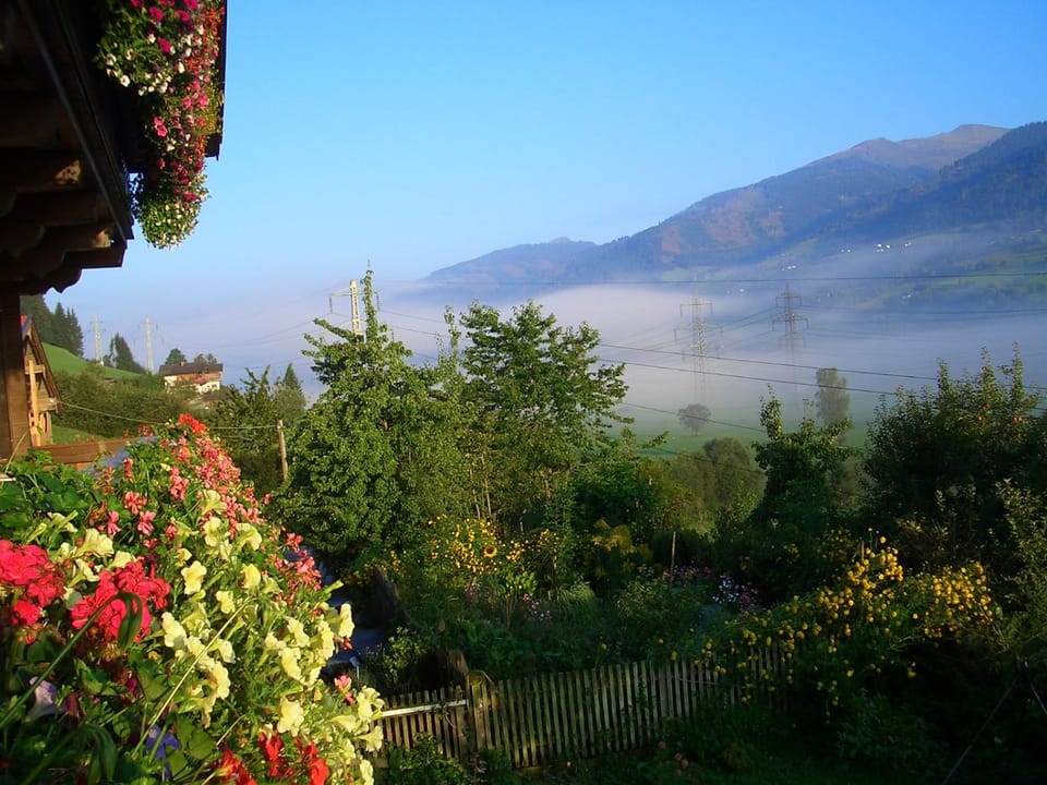 Day, Summer, Garden view, Garden view, Mountain view, Mountain view
