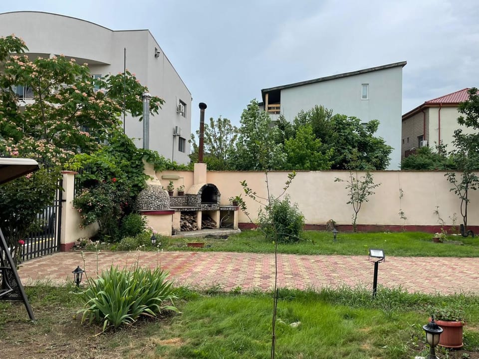 Patio, Garden