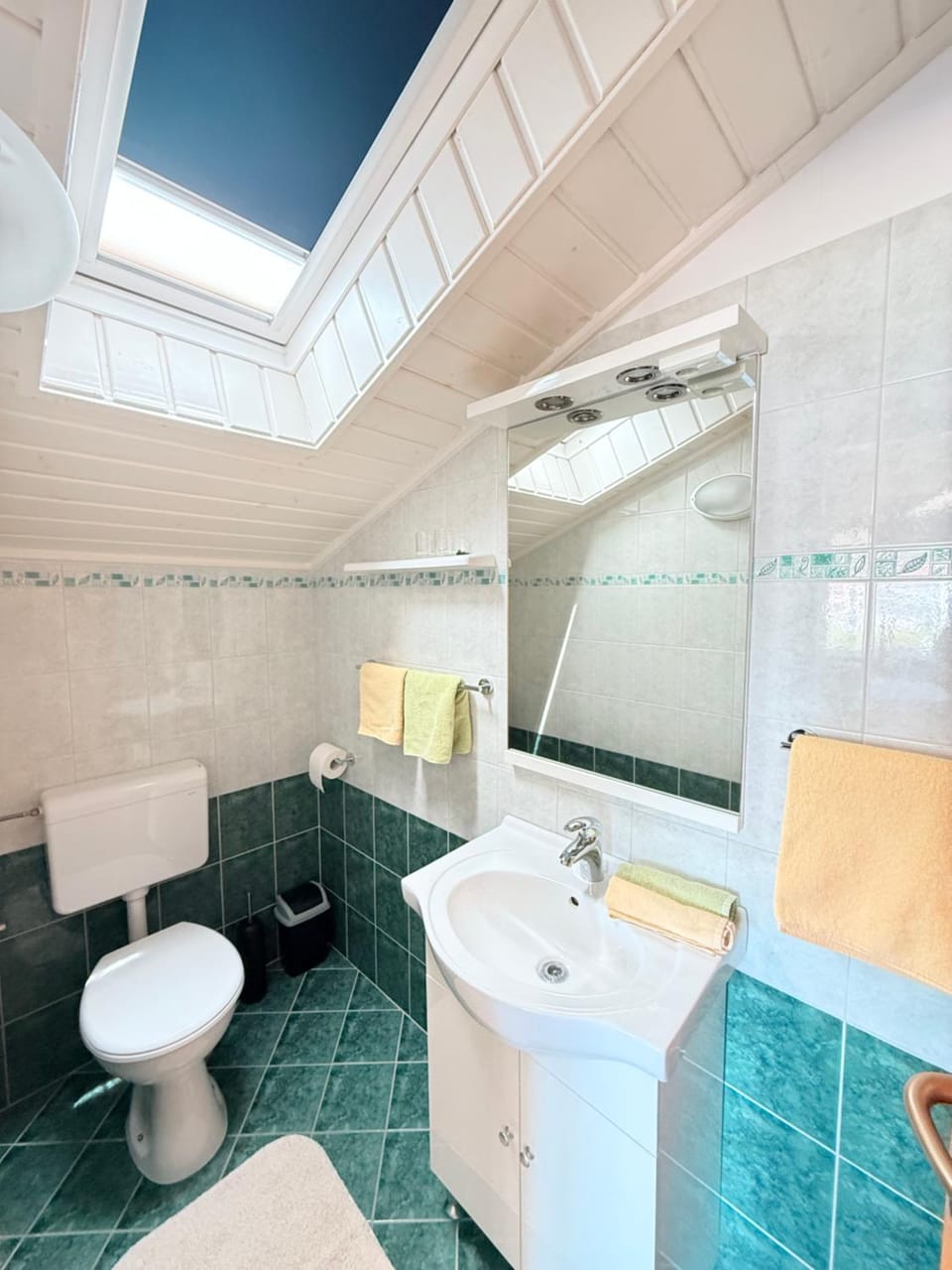 Toilet, Bathroom