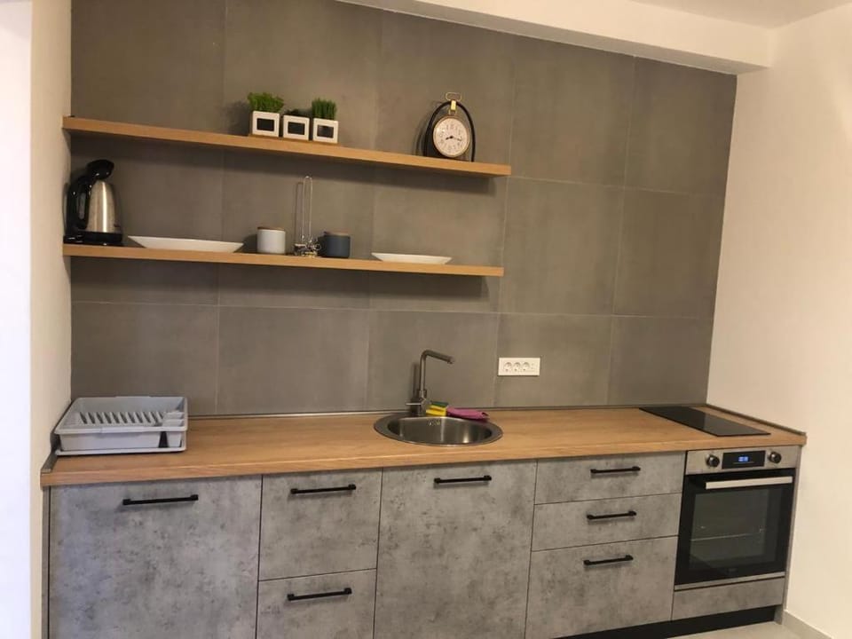 Villa MERKURY Apartment in Montenegro