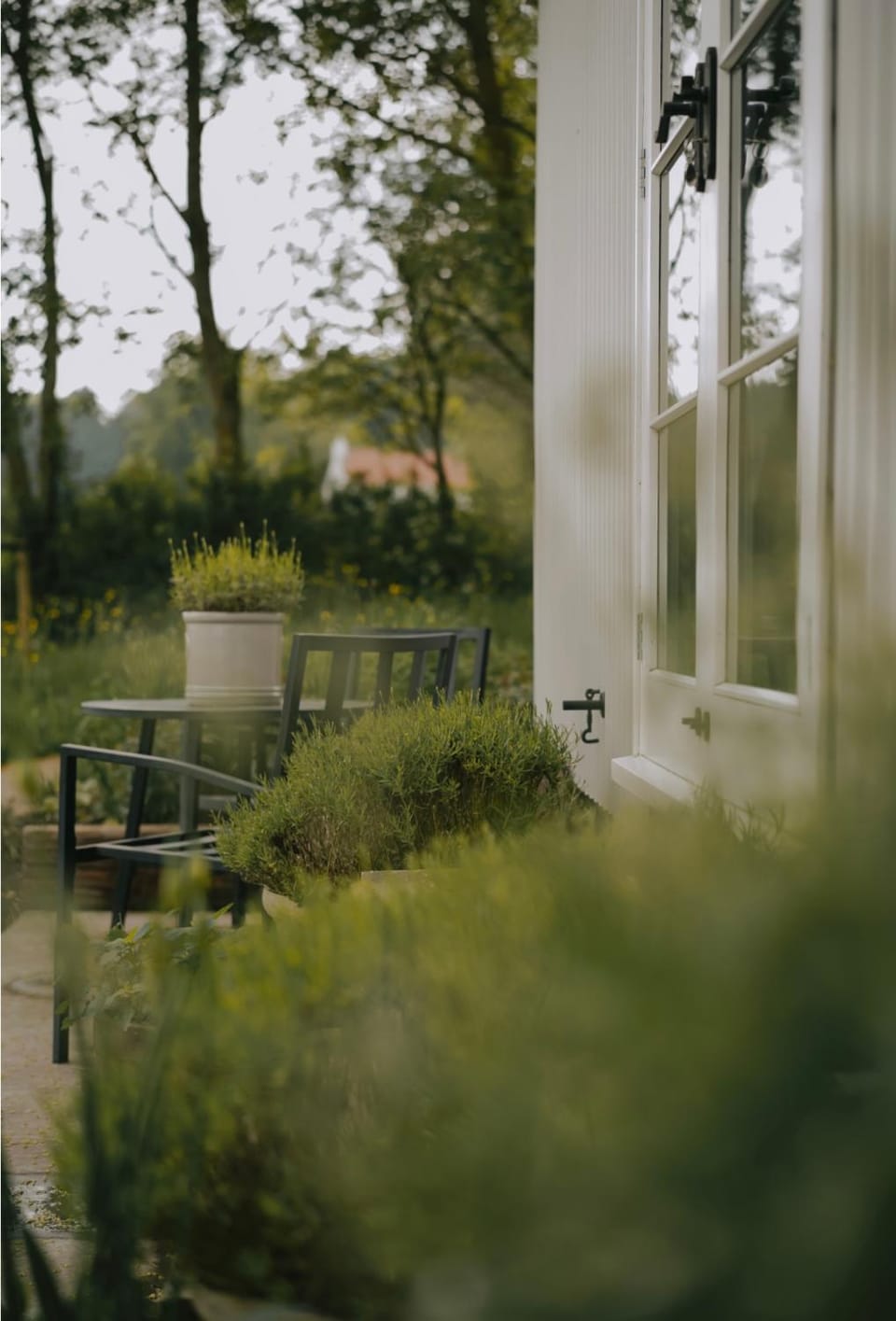 Day, Natural landscape, Garden, Garden view