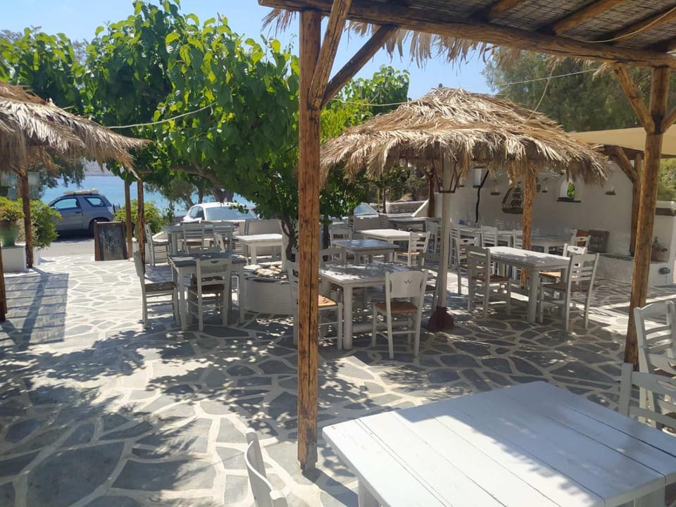 Restaurant/places to eat, Food, Dinner