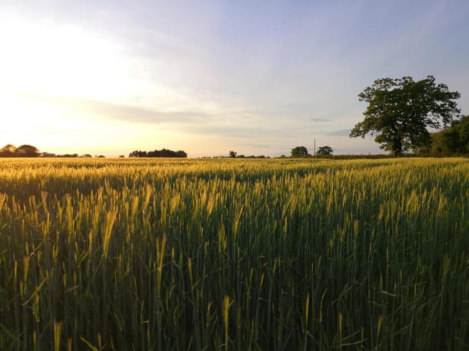 Ashcroft Glamping Campground/ 
RV Resort in Broadland District
