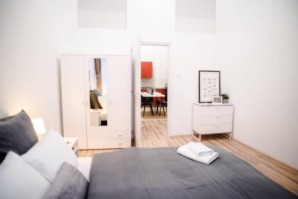Very central spacious AC apartment Apartment in Budapest