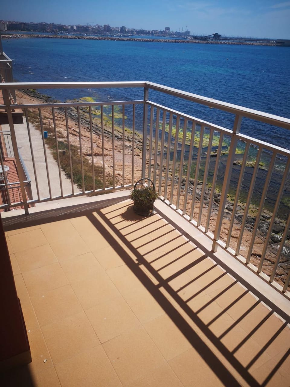 Catral Apartment in Torrevieja