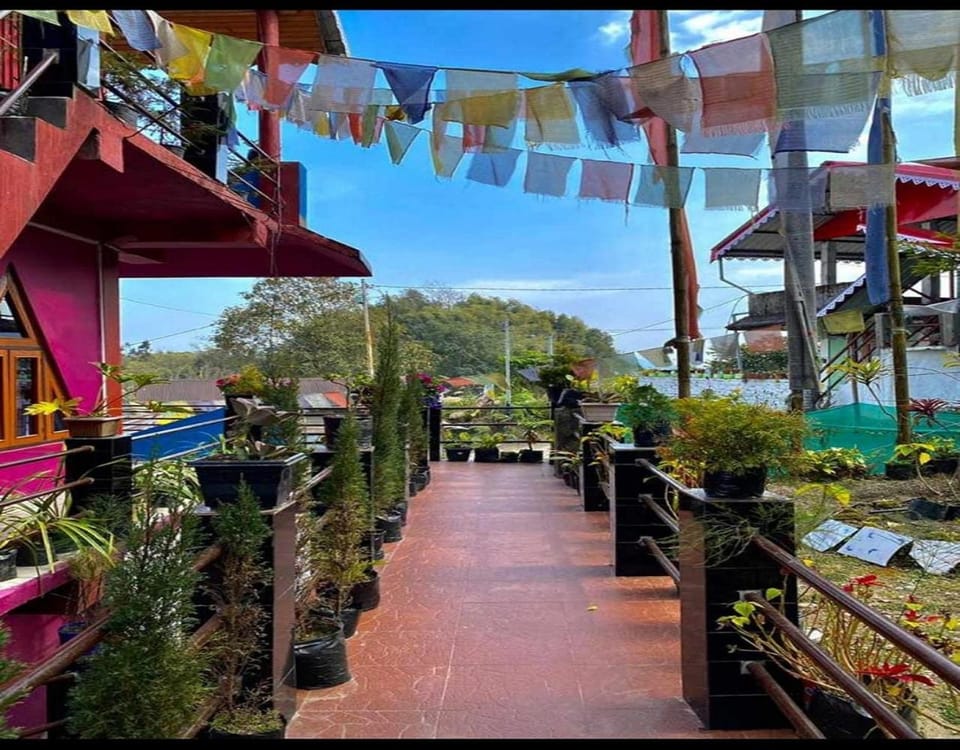 Garden view