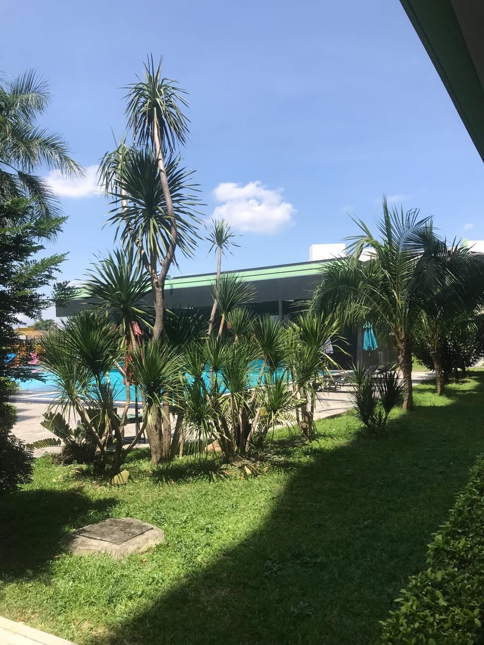 Garden, Garden view, Pool view