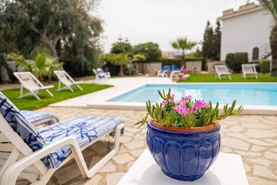 Garden, Garden view, Pool view, Swimming pool, sunbed