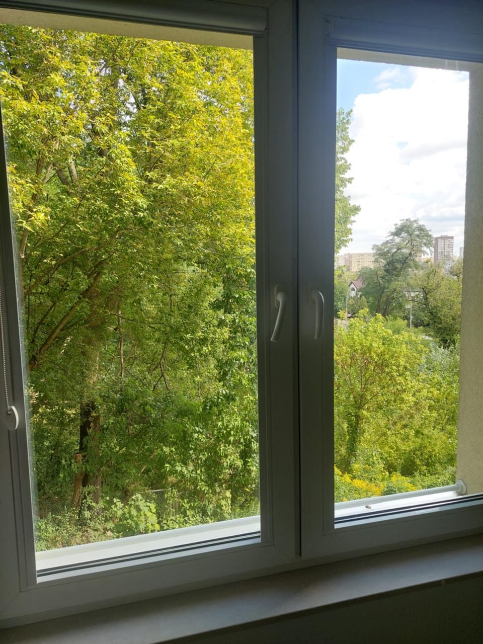 View (from property/room)