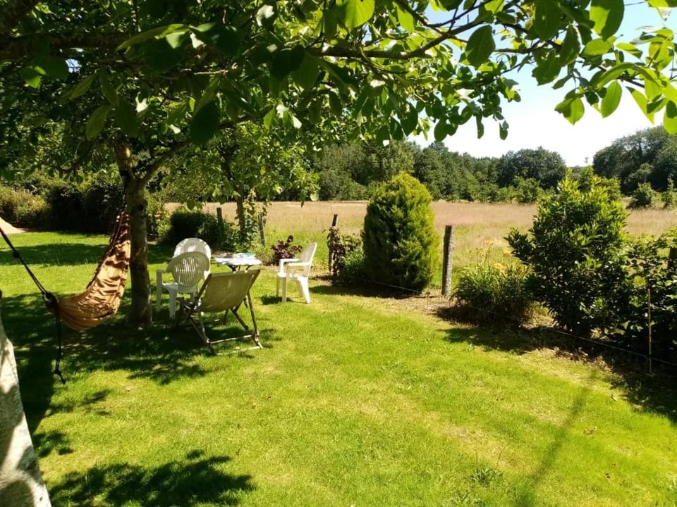 Natural landscape, Summer, Garden