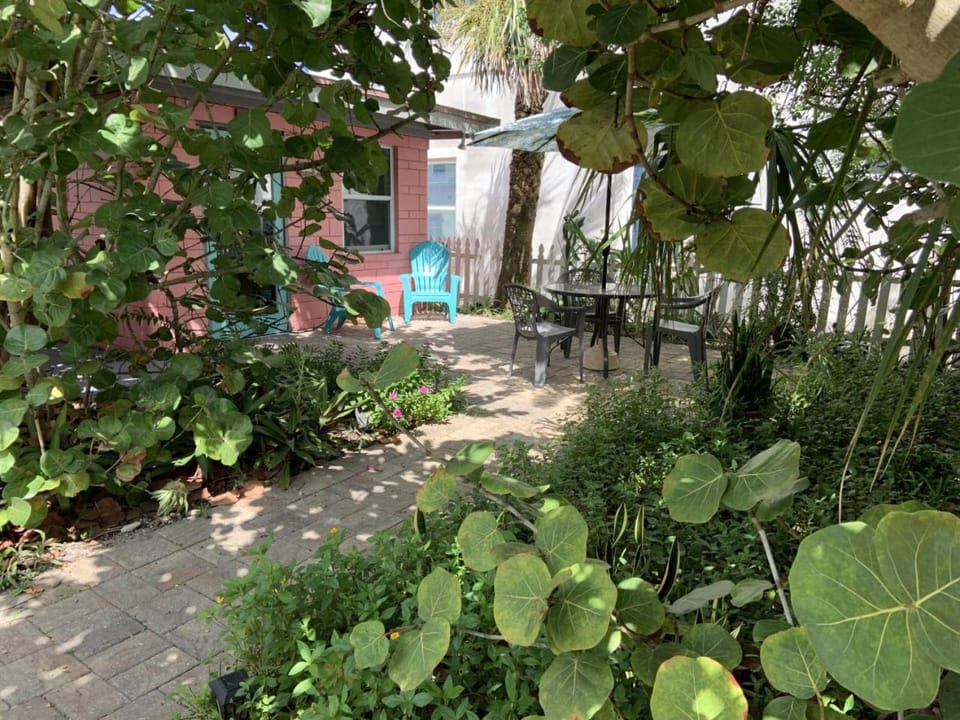 Patio, Garden