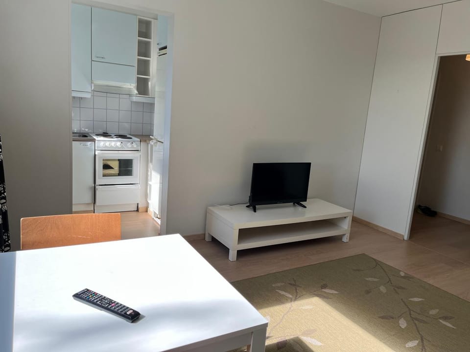 TV and multimedia, Kitchen or kitchenette, Living room, Dining area, oven, stove