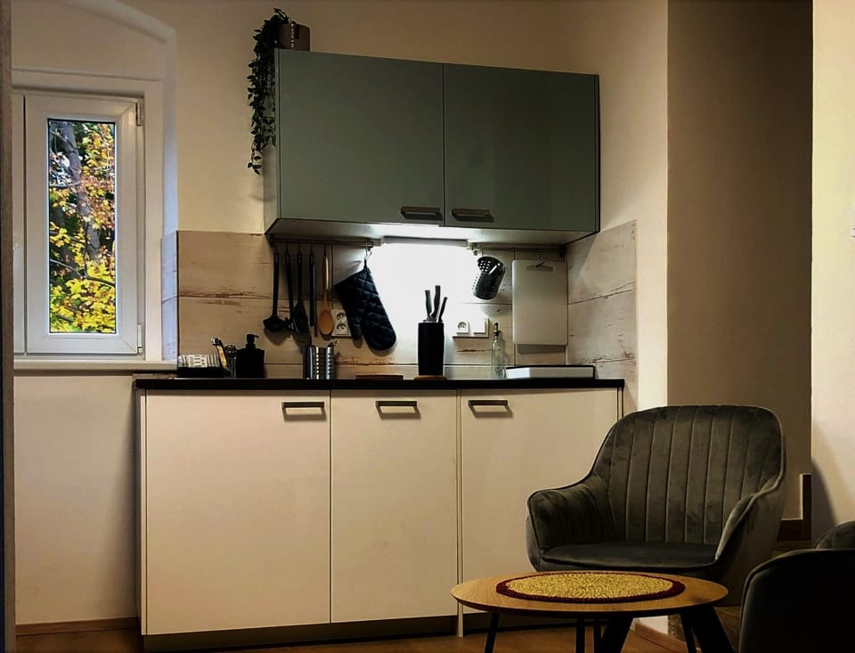 Kitchen or kitchenette, dishwasher, minibar, stove