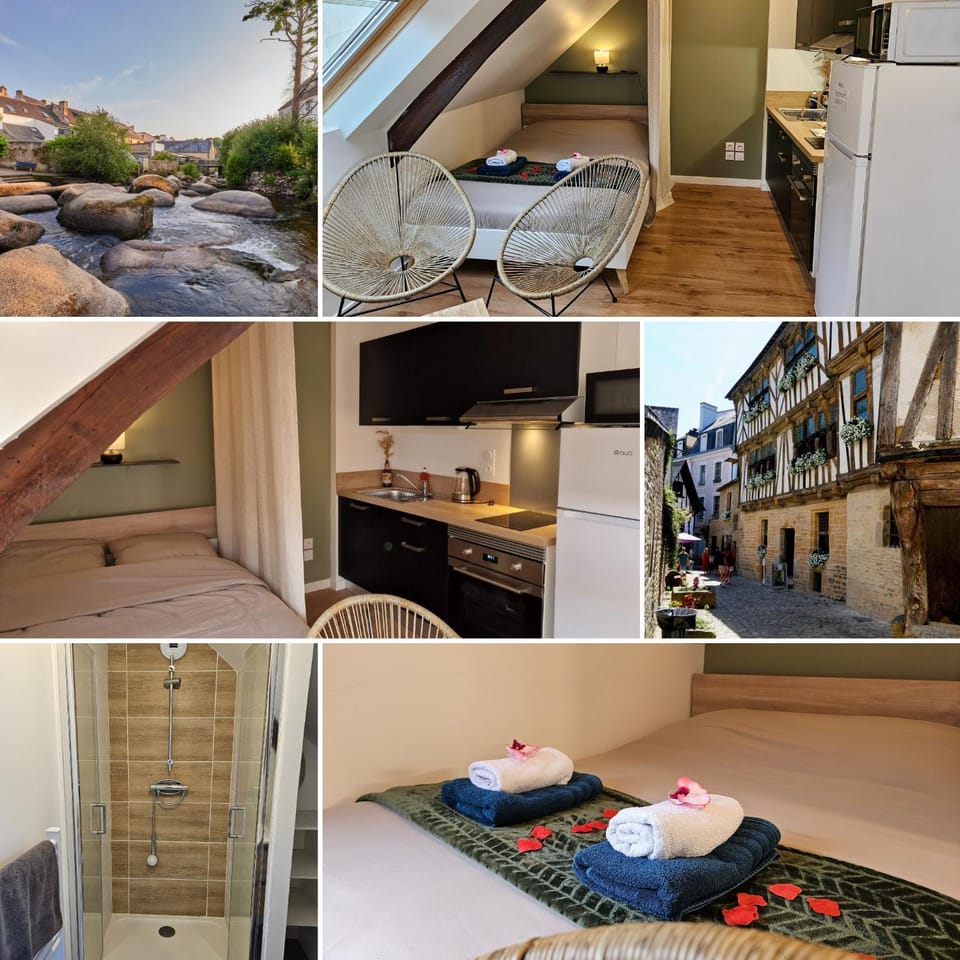 Logement de caractère en haute ville de Quimperlé Apartment in Finistere