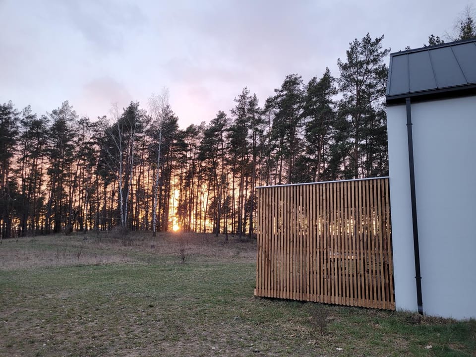 Spring, Natural landscape, Sunset