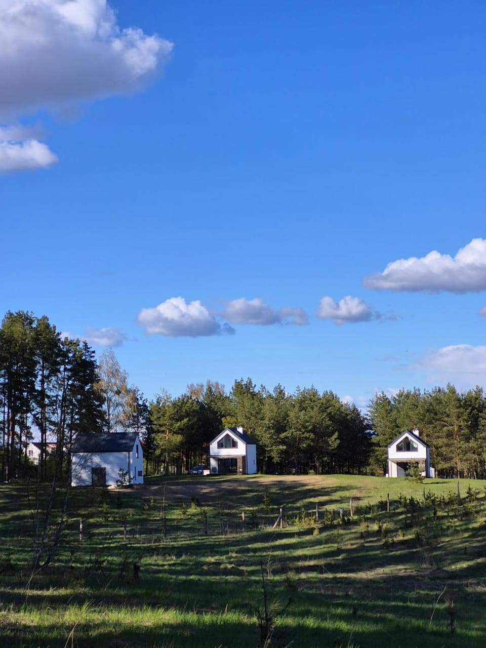 Spring, Day, Natural landscape