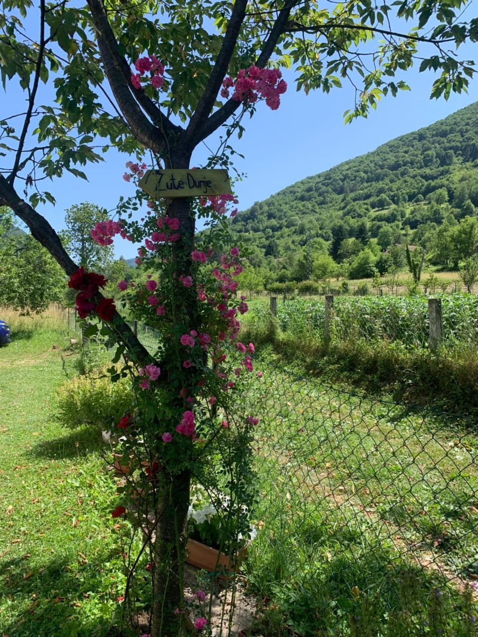 Spring, Natural landscape