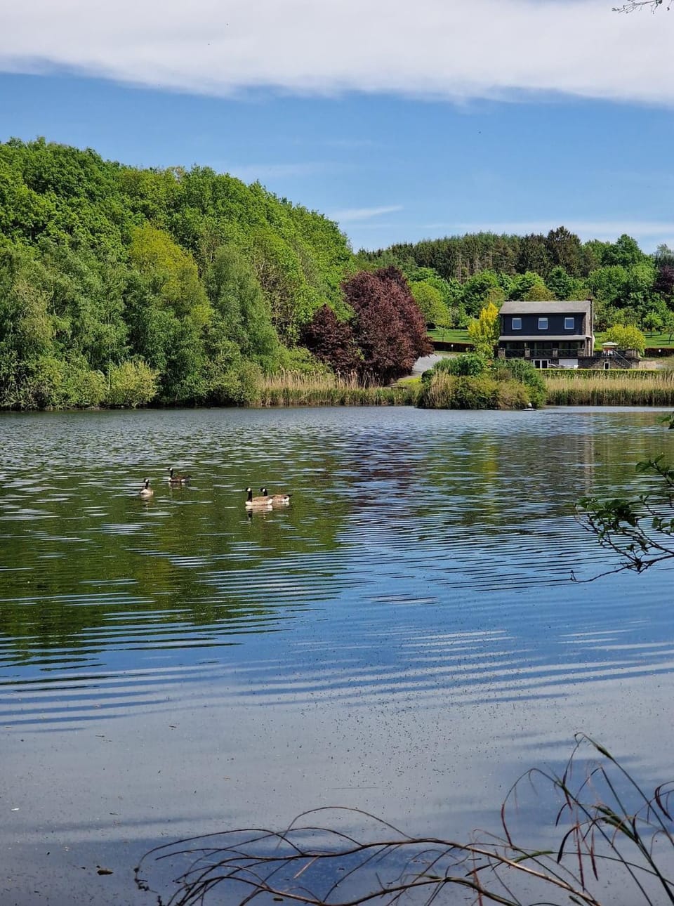 Lake view