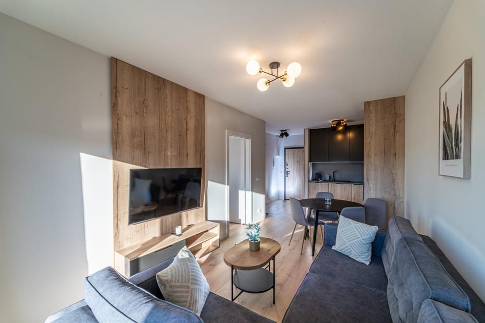 Silver Apartments Mountain Aparts Apartment in Lower Silesian Voivodeship