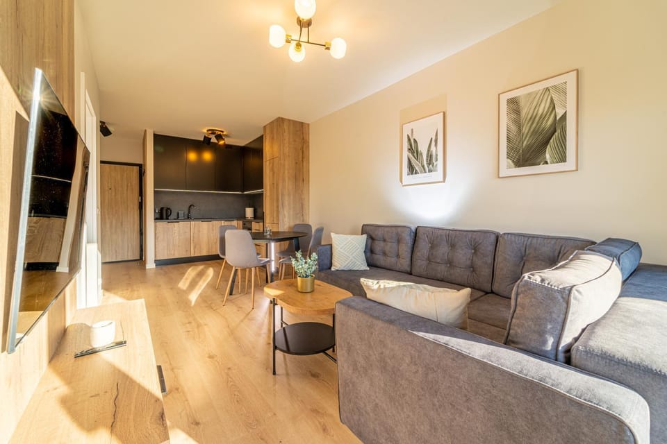 Silver Apartments Mountain Aparts Apartment in Lower Silesian Voivodeship