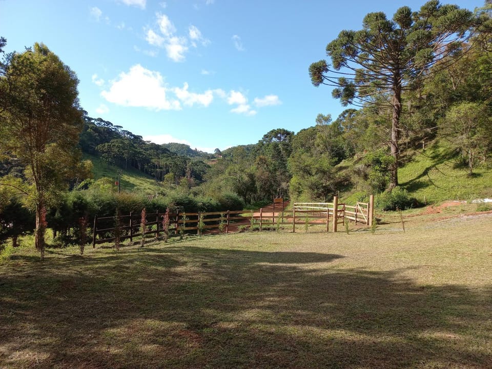 Natural landscape