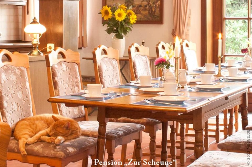 Restaurant/places to eat