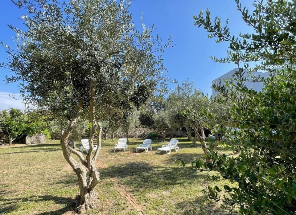 Calafato Guest House Bed and Breakfast in Favignana