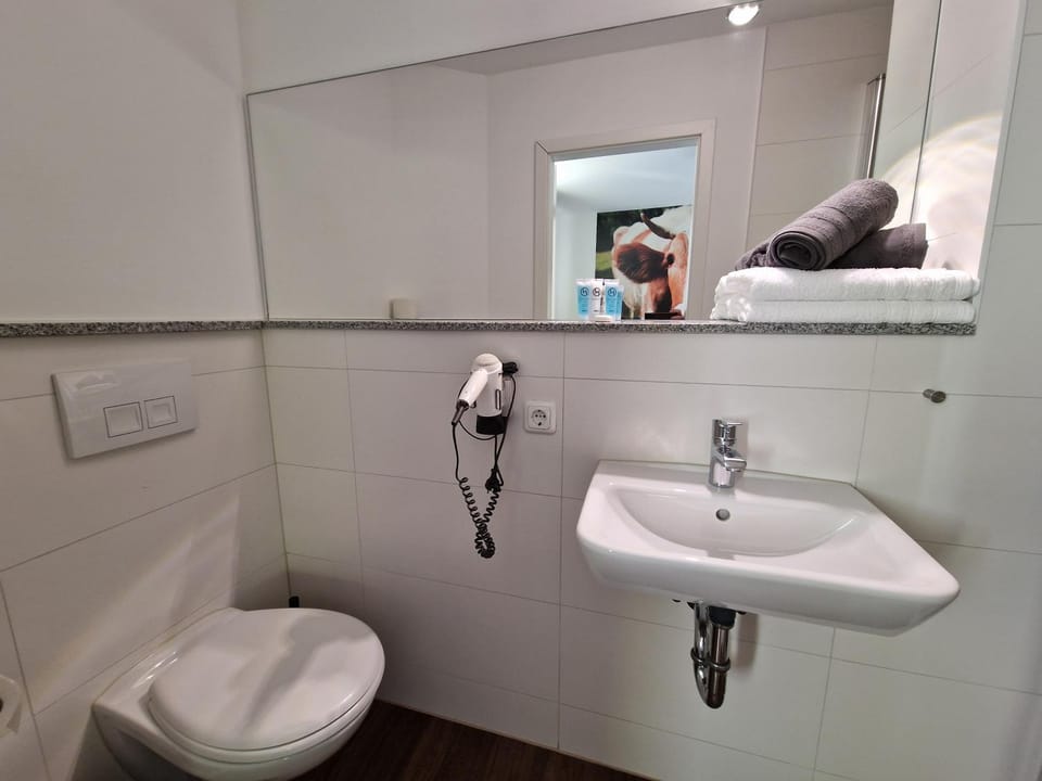 Toilet, Bathroom, towels