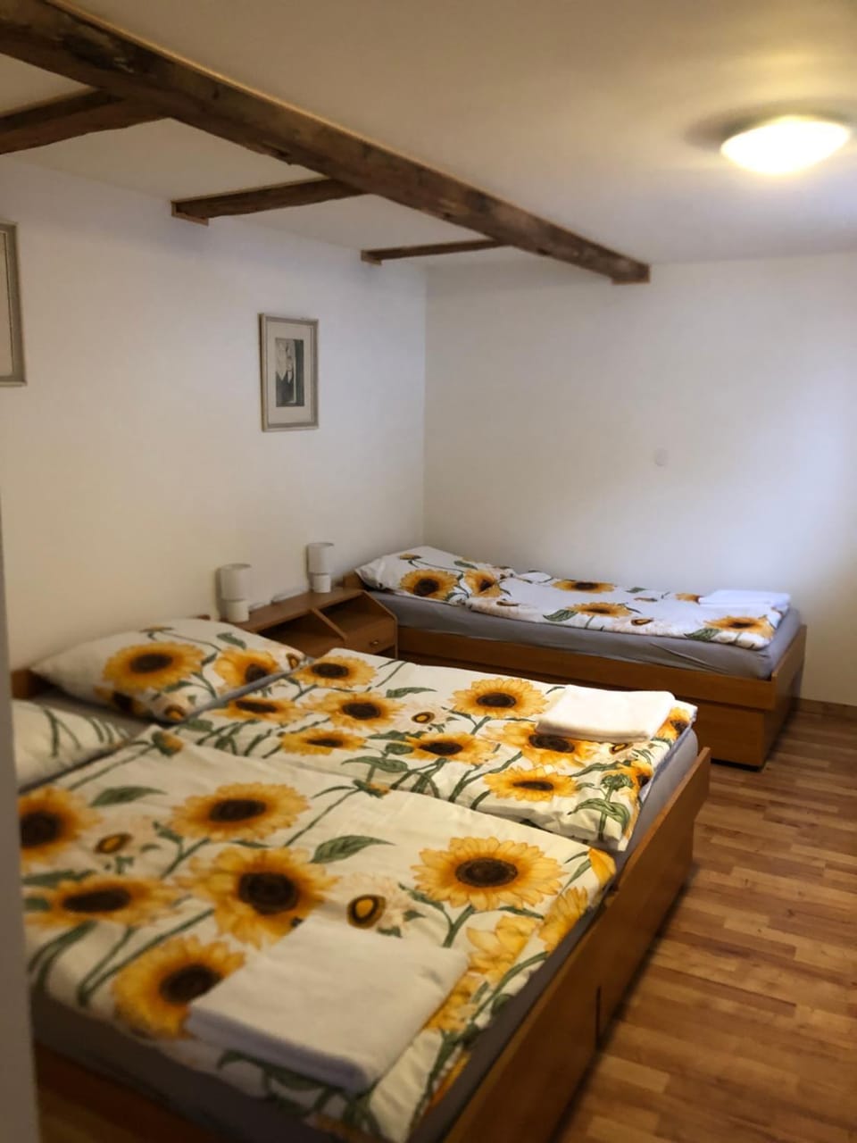 U Monka - Jáchymov Klínovec Vacation rental in Czechia