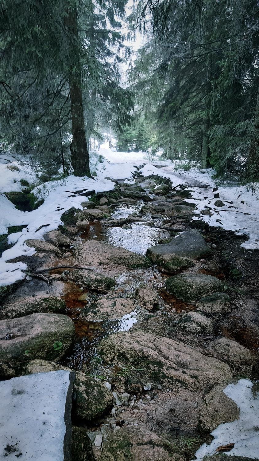 Natural landscape, Hiking
