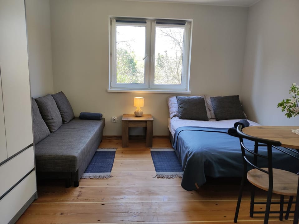 Bed, Living room, Photo of the whole room, Seating area, Bedroom