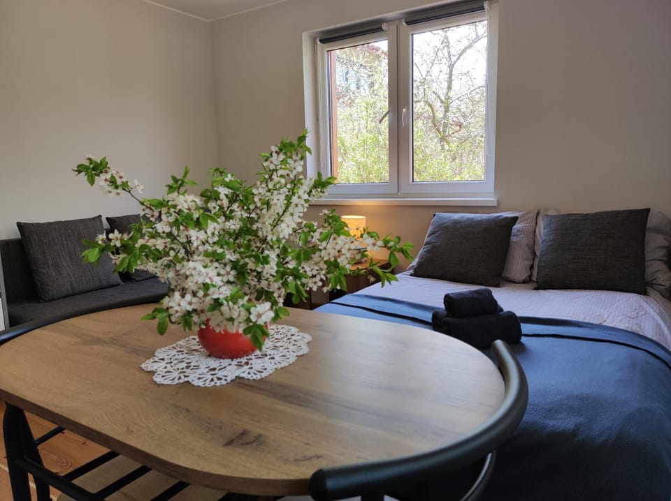 Bed, Living room, Photo of the whole room, Seating area, Bedroom