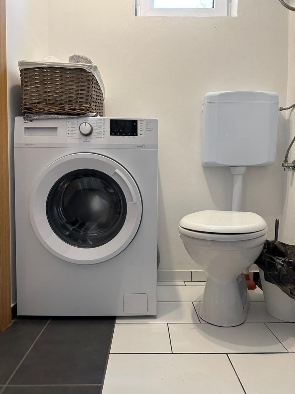 Toilet, washing machine