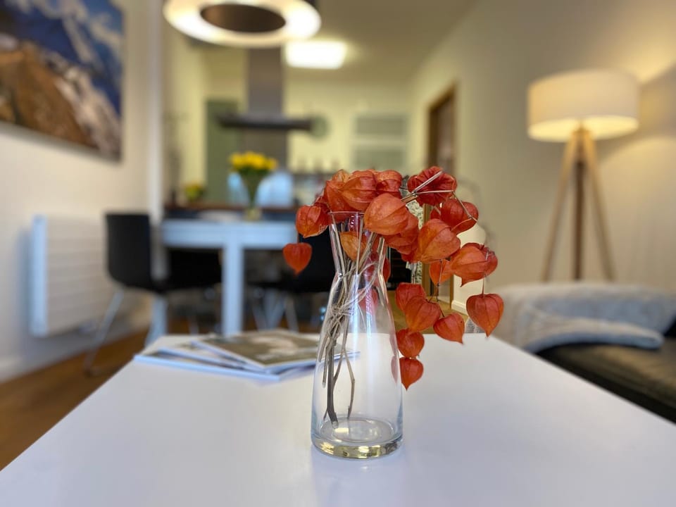 Residence Grand - soukromý apartmán Apartment in Lower Silesian Voivodeship