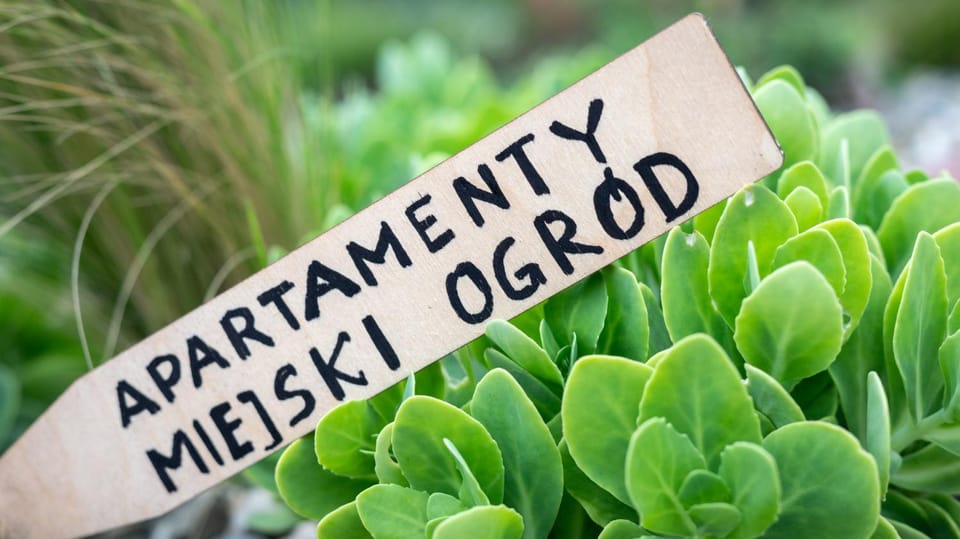 Natural landscape, Garden, Garden, Logo/Certificate/Sign