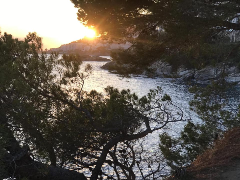 Hiking