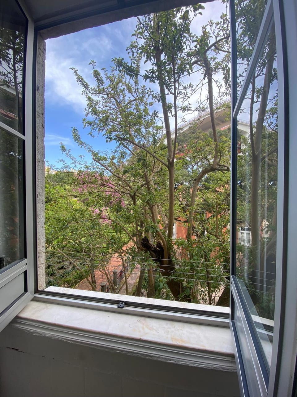 View (from property/room), kitchen