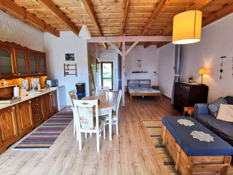 Kitchen or kitchenette, Living room, Dining area