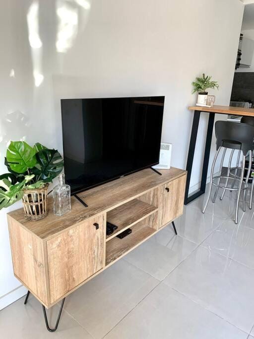 TV and multimedia