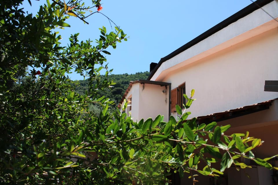 Property building, Spring, Day