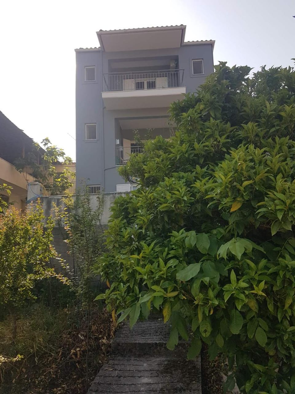 Property building, Garden view