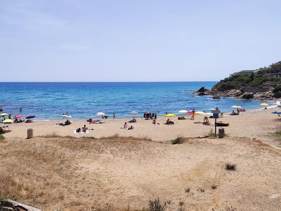 Spring, Natural landscape, Beach