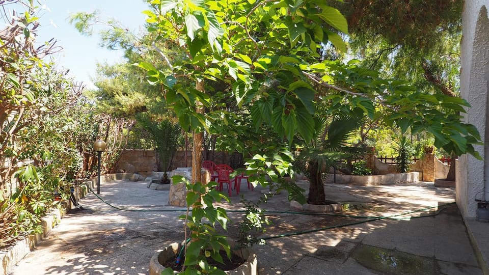 Day, Garden view