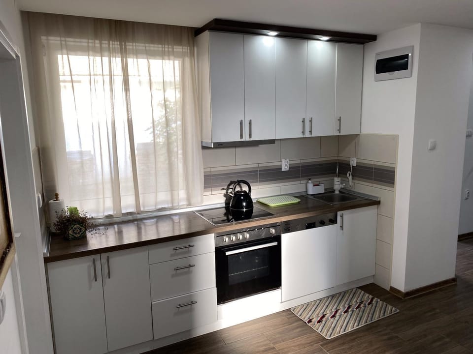 Kitchen or kitchenette, dishwasher, oven, pet friendly, stove